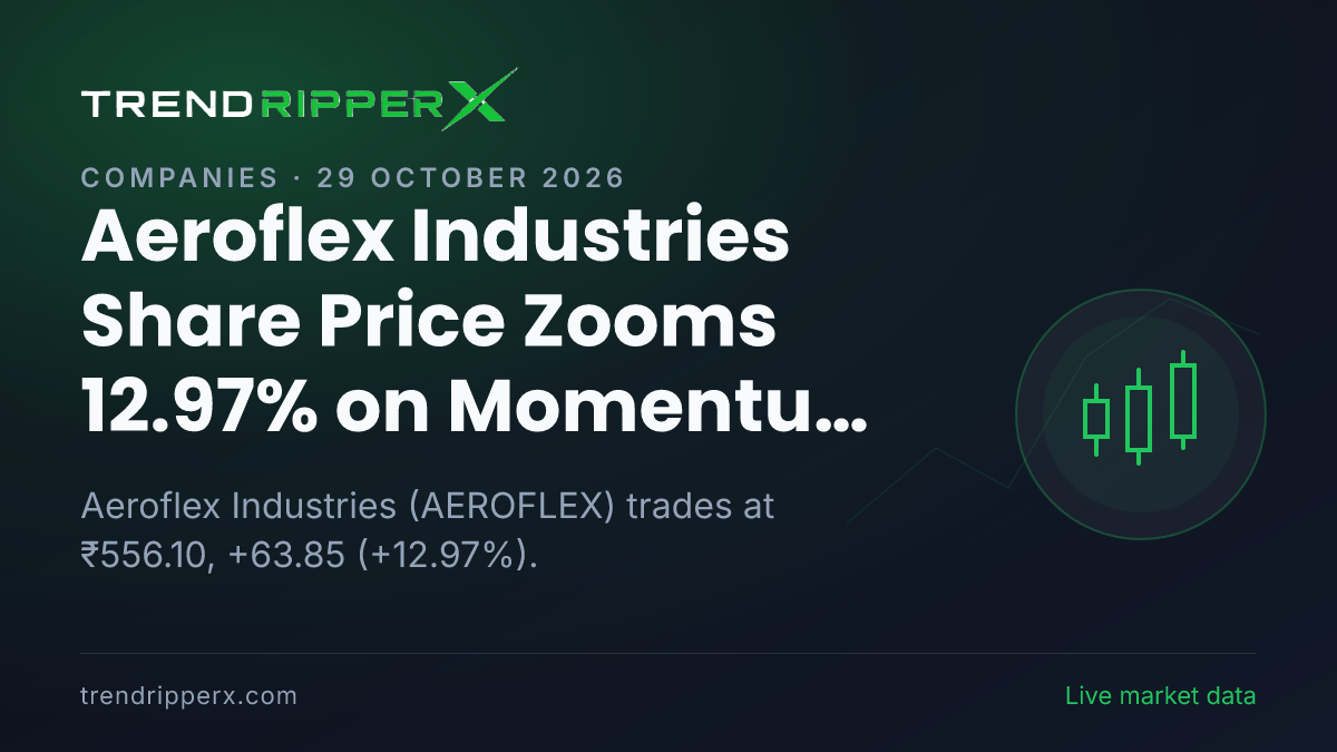Aeroflex Industries Share Price Zooms 12.97% on Momentum News — What It Means for Investors