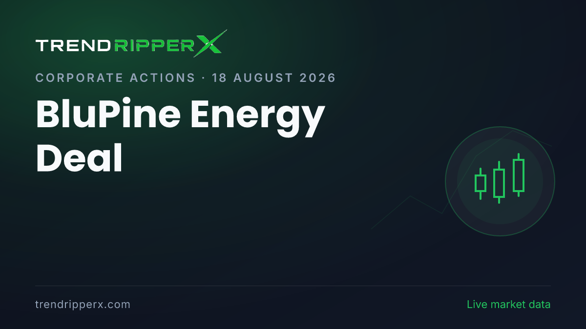 BluPine Energy Deal: KKR, Blackstone and NIIF Among Bidders for $1.5–2 Billion Asset