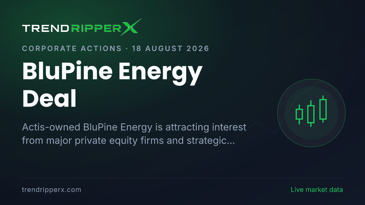 BluPine Energy Deal: KKR, Blackstone and NIIF Among Bidders for $1.5–2 Billion Asset