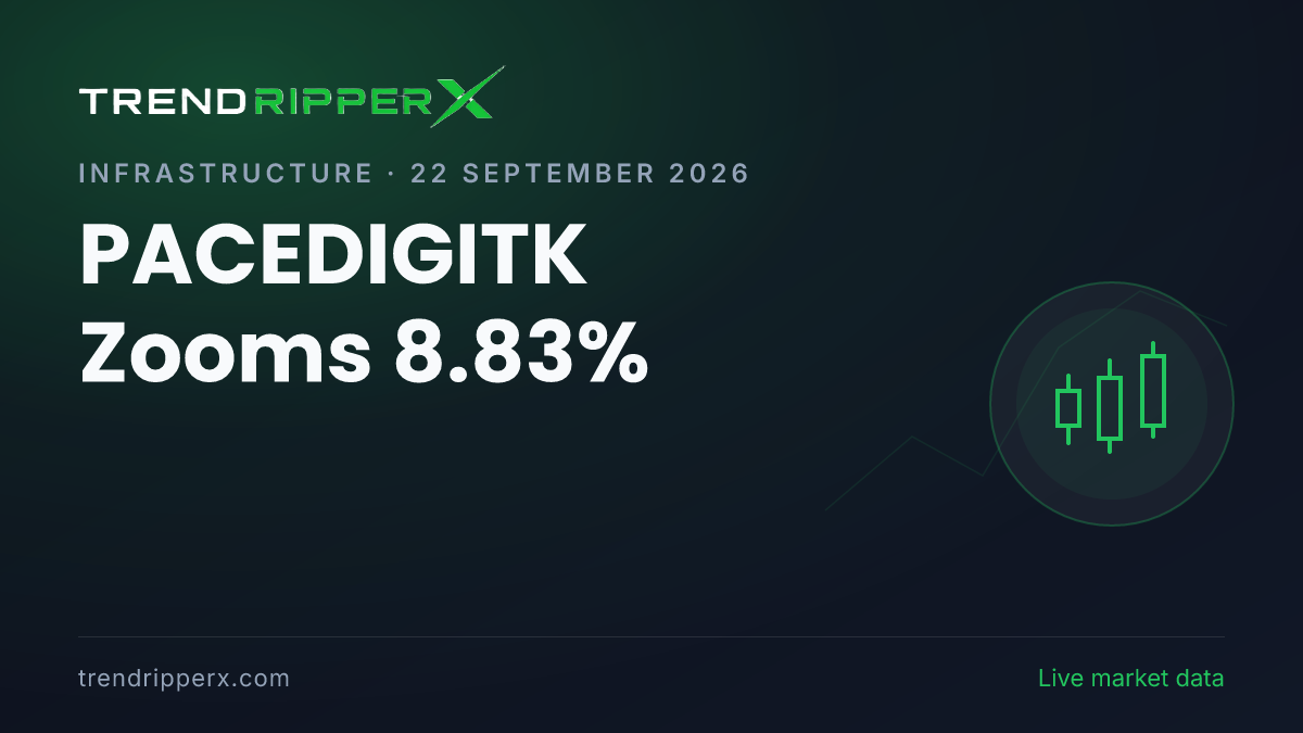 PACEDIGITK Zooms 8.83%: Inside the Order Win Story Moving Pace Digitek Shares