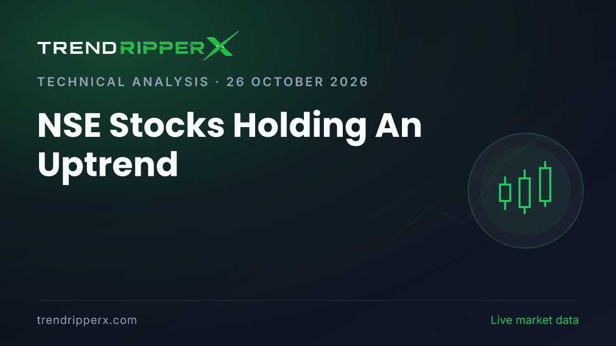 NSE Stocks Holding An Uptrend: 15 Names Lead as 69% of Market Holds Gains