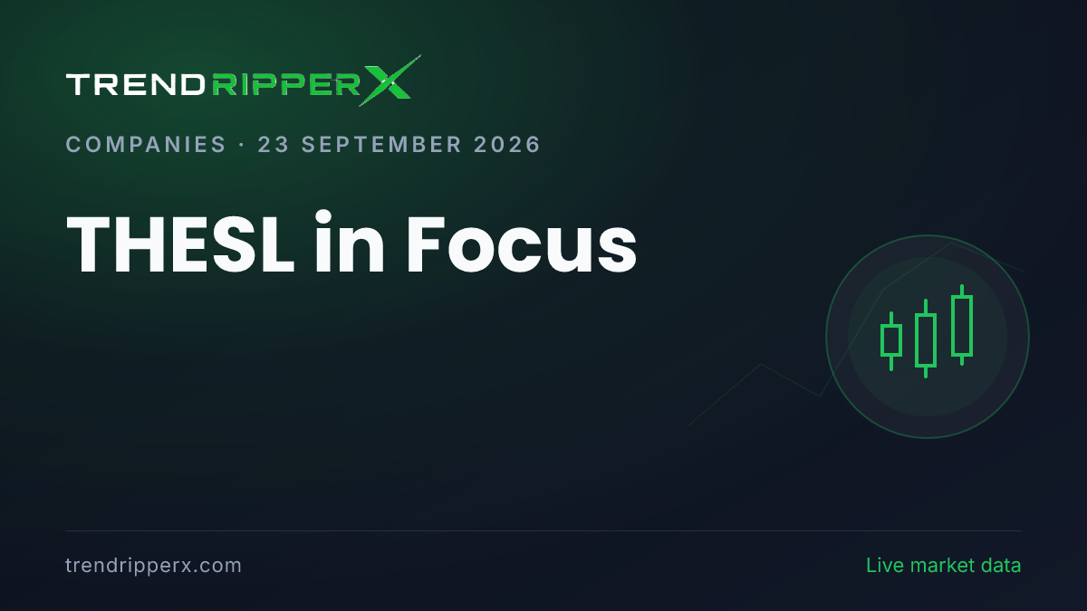 THESL in Focus: Thinking Hats Enter Sol Share Price Jumped 4.68% to ₹13.90 on Rising Newsflow